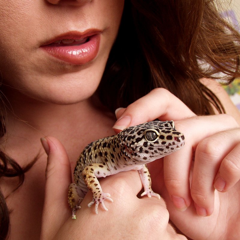 Rencontre coquine svana